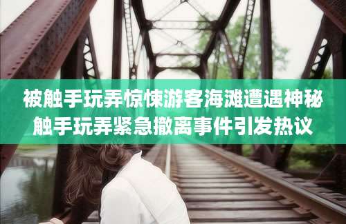 被触手玩弄惊悚游客海滩遭遇神秘触手玩弄紧急撤离事件引发热议