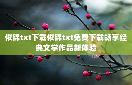 似锦txt下载似锦txt免费下载畅享经典文学作品新体验
