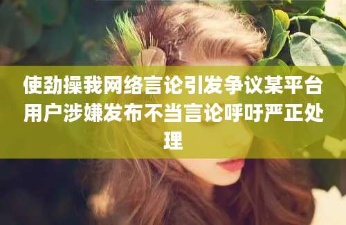 使劲操我网络言论引发争议某平台用户涉嫌发布不当言论呼吁严正处理