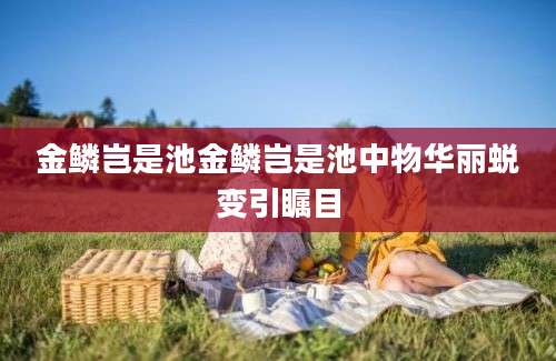 金鳞岂是池金鳞岂是池中物华丽蜕变引瞩目