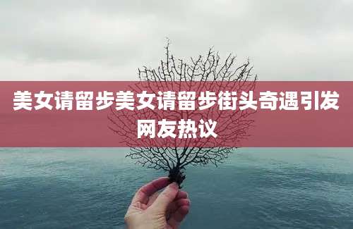 美女请留步美女请留步街头奇遇引发网友热议