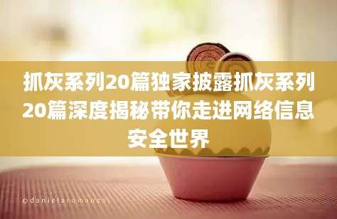 抓灰系列20篇独家披露抓灰系列20篇深度揭秘带你走进网络信息安全世界