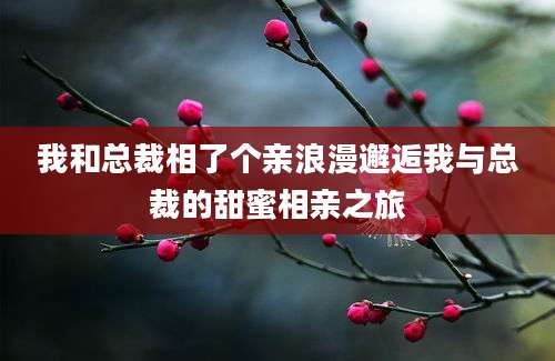 我和总裁相了个亲浪漫邂逅我与总裁的甜蜜相亲之旅