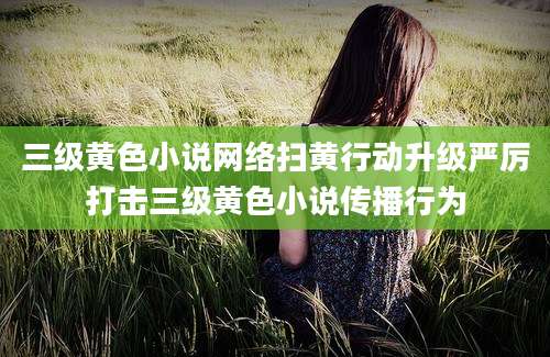 三级黄色小说网络扫黄行动升级严厉打击三级黄色小说传播行为
