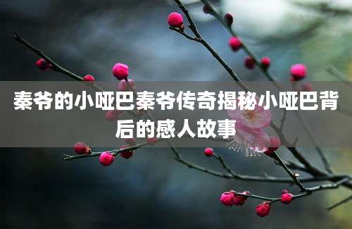 秦爷的小哑巴秦爷传奇揭秘小哑巴背后的感人故事