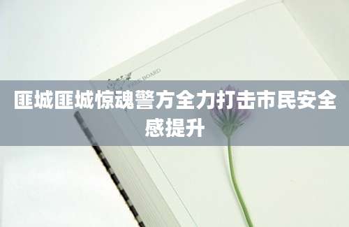 匪城匪城惊魂警方全力打击市民安全感提升