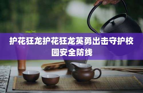 护花狂龙护花狂龙英勇出击守护校园安全防线