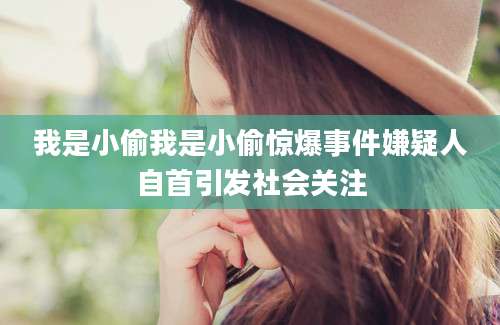 我是小偷我是小偷惊爆事件嫌疑人自首引发社会关注