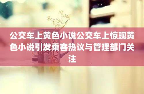 公交车上黄色小说公交车上惊现黄色小说引发乘客热议与管理部门关注