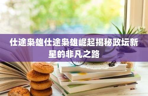 仕途枭雄仕途枭雄崛起揭秘政坛新星的非凡之路