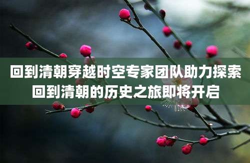 回到清朝穿越时空专家团队助力探索回到清朝的历史之旅即将开启
