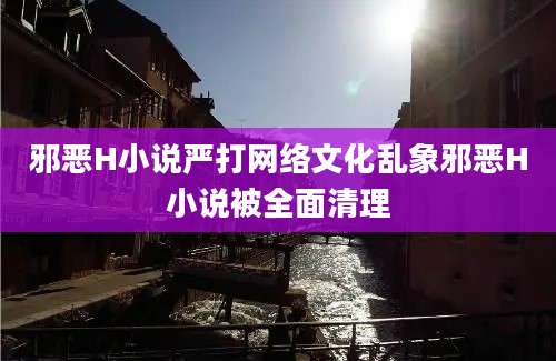 邪恶H小说严打网络文化乱象邪恶H小说被全面清理