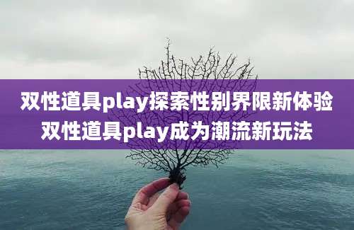 双性道具play探索性别界限新体验双性道具play成为潮流新玩法
