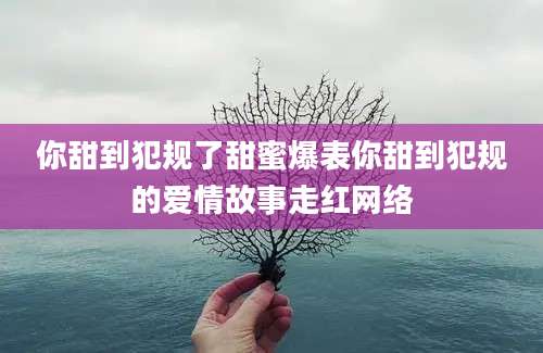 你甜到犯规了甜蜜爆表你甜到犯规的爱情故事走红网络
