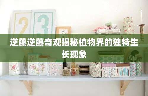 逆藤逆藤奇观揭秘植物界的独特生长现象