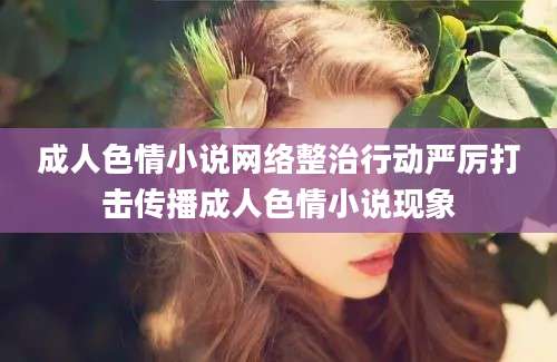 成人色情小说网络整治行动严厉打击传播成人色情小说现象