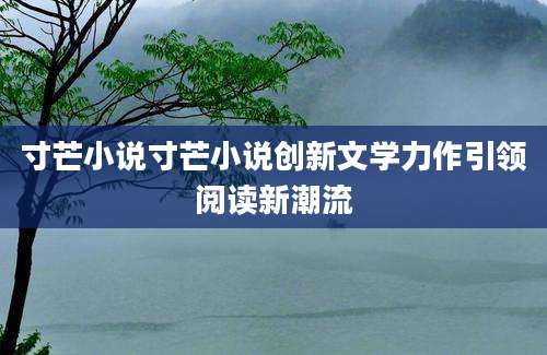 寸芒小说寸芒小说创新文学力作引领阅读新潮流