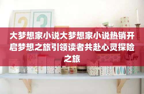 大梦想家小说大梦想家小说热销开启梦想之旅引领读者共赴心灵探险之旅