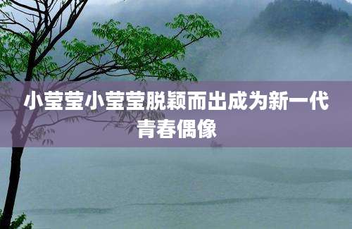 小莹莹小莹莹脱颖而出成为新一代青春偶像