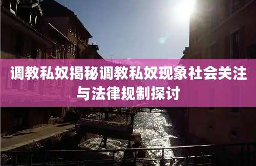 调教私奴揭秘调教私奴现象社会关注与法律规制探讨