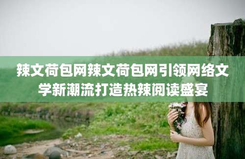 辣文荷包网辣文荷包网引领网络文学新潮流打造热辣阅读盛宴