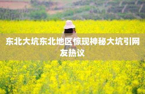 东北大坑东北地区惊现神秘大坑引网友热议