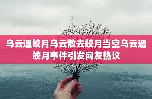 乌云遇皎月乌云散去皎月当空乌云遇皎月事件引发网友热议
