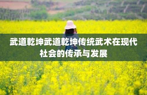 武道乾坤武道乾坤传统武术在现代社会的传承与发展