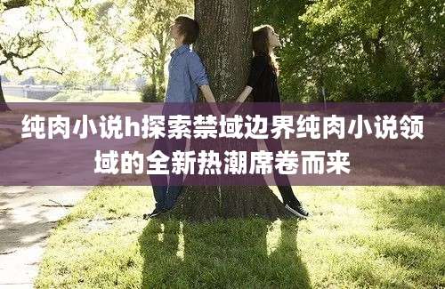 纯肉小说h探索禁域边界纯肉小说领域的全新热潮席卷而来