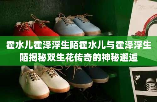 霍水儿霍泽浮生陌霍水儿与霍泽浮生陌揭秘双生花传奇的神秘邂逅