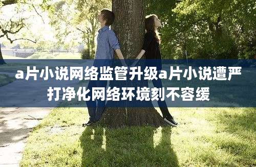 a片小说网络监管升级a片小说遭严打净化网络环境刻不容缓