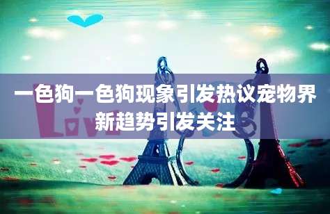 一色狗一色狗现象引发热议宠物界新趋势引发关注