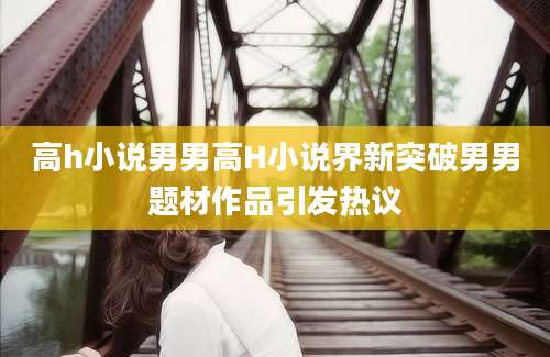 高h小说男男高H小说界新突破男男题材作品引发热议