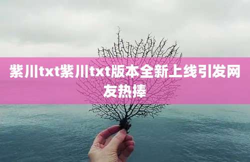 紫川txt紫川txt版本全新上线引发网友热捧