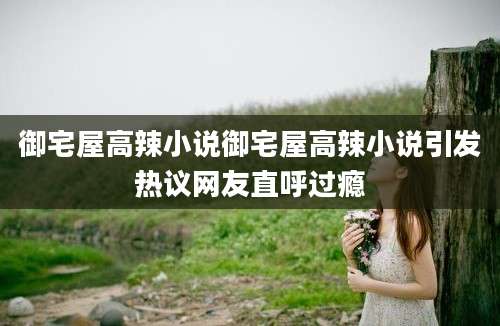 御宅屋高辣小说御宅屋高辣小说引发热议网友直呼过瘾