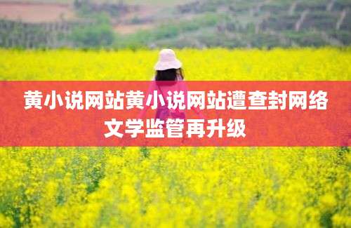 黄小说网站黄小说网站遭查封网络文学监管再升级