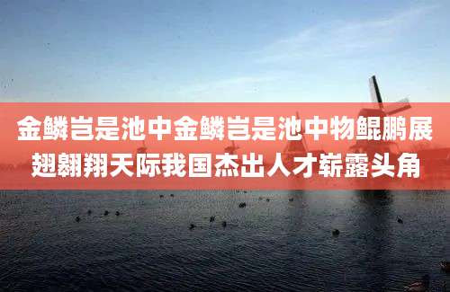 金鳞岂是池中金鳞岂是池中物鲲鹏展翅翱翔天际我国杰出人才崭露头角