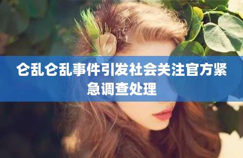 仑乱仑乱事件引发社会关注官方紧急调查处理