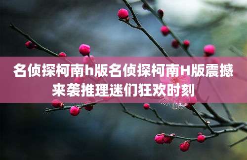 名侦探柯南h版名侦探柯南H版震撼来袭推理迷们狂欢时刻