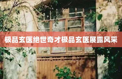 极品玄医绝世奇才极品玄医展露风采