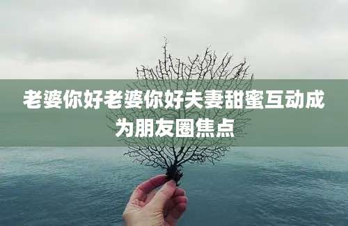 老婆你好老婆你好夫妻甜蜜互动成为朋友圈焦点