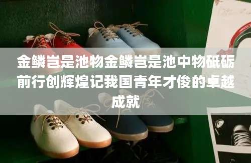金鳞岂是池物金鳞岂是池中物砥砺前行创辉煌记我国青年才俊的卓越成就