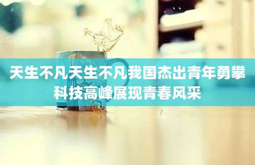 天生不凡天生不凡我国杰出青年勇攀科技高峰展现青春风采