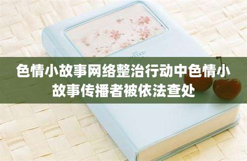 色情小故事网络整治行动中色情小故事传播者被依法查处