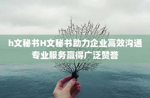 h文秘书H文秘书助力企业高效沟通专业服务赢得广泛赞誉