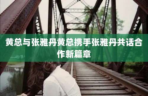 黄总与张雅丹黄总携手张雅丹共话合作新篇章