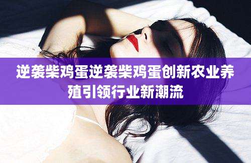 逆袭柴鸡蛋逆袭柴鸡蛋创新农业养殖引领行业新潮流