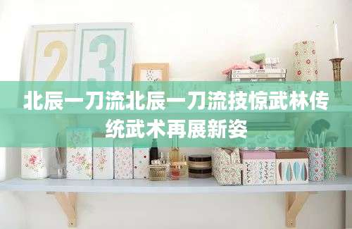 北辰一刀流北辰一刀流技惊武林传统武术再展新姿