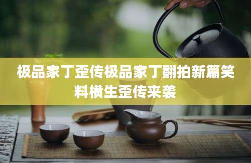 极品家丁歪传极品家丁翻拍新篇笑料横生歪传来袭