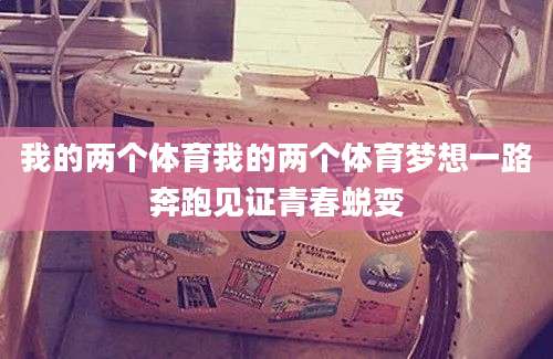 我的两个体育我的两个体育梦想一路奔跑见证青春蜕变
